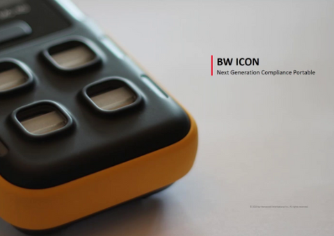 BW Icon Review  - Webinar